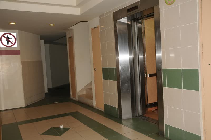 291 Bishan Street 24