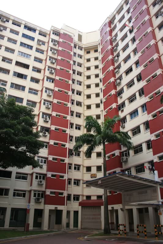 263 Boon Lay Drive
