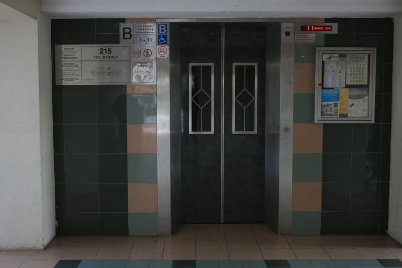 215 Boon Lay Place