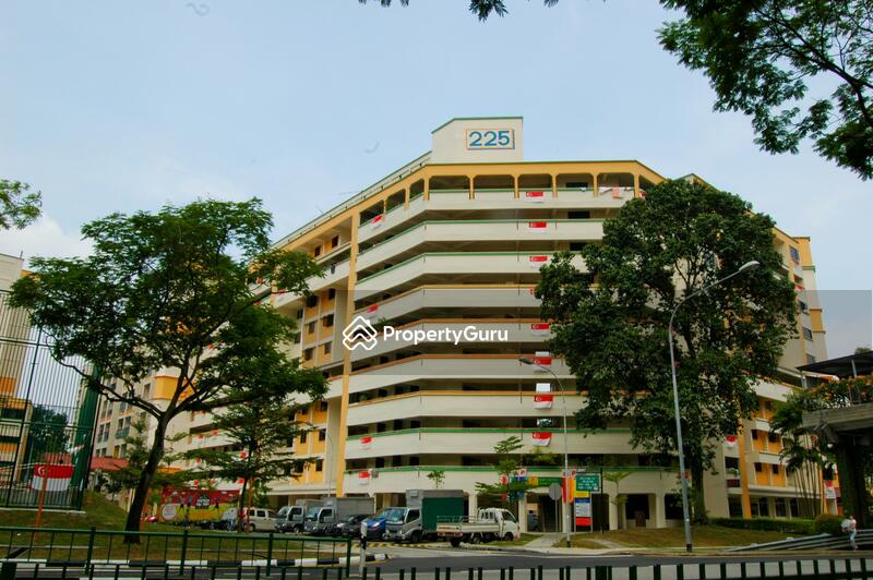 225 Bukit Batok Central #0