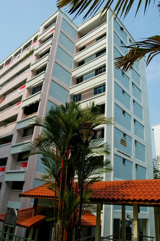 229 Bukit Batok East Avenue 3