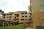 262 Bukit Batok East Avenue 4 #0