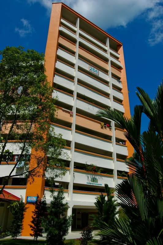 266 Bukit Batok East Avenue 4