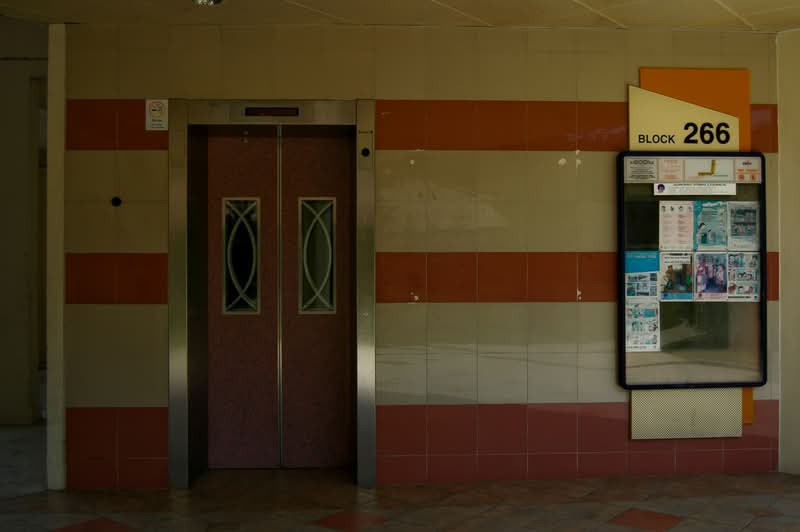 266 Bukit Batok East Avenue 4