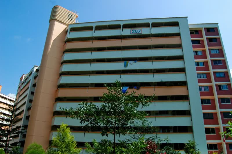 267 Bukit Batok East Avenue 4