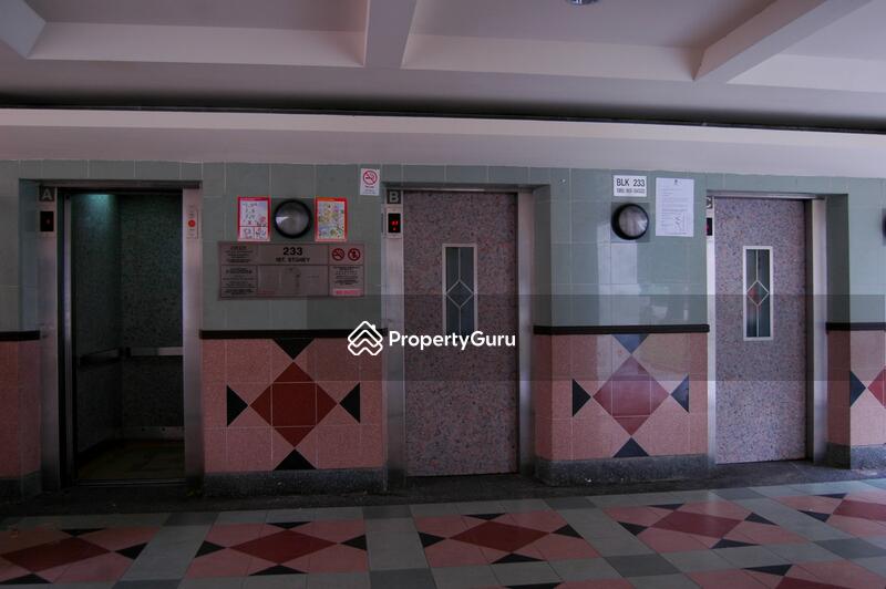 For Rent - 233 Bukit Batok East Avenue 5