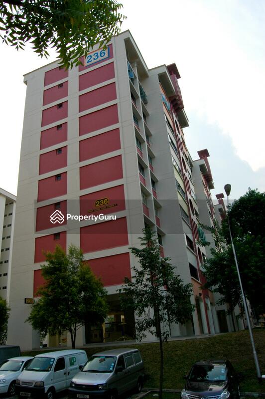 236 Bukit Batok East Avenue 5 #0