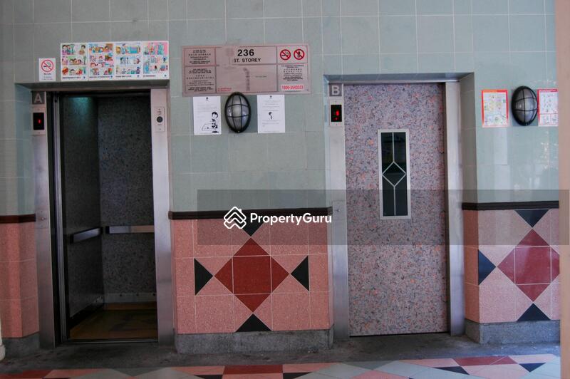 For Rent - 236 Bukit Batok East Avenue 5