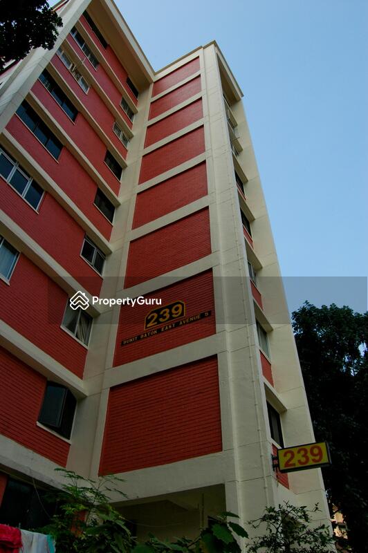 239 Bukit Batok East Avenue 5 #0