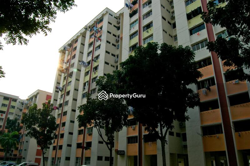 239 Bukit Batok East Avenue 5 #0