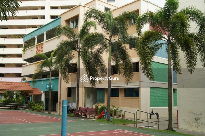 245 Bukit Batok East Avenue 5 #0