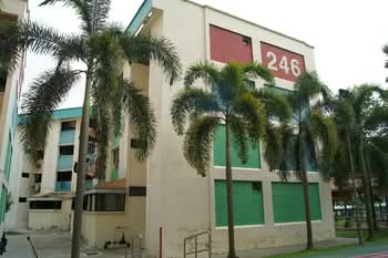 246 Bukit Batok East Avenue 5