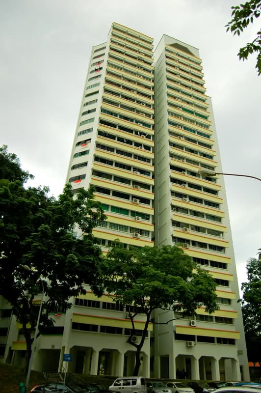 201 Bukit Batok Street 21