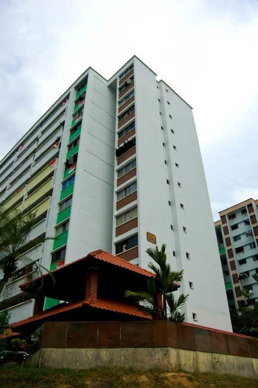 206 Bukit Batok Street 21