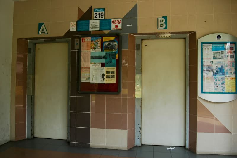 219 Bukit Batok Street 21