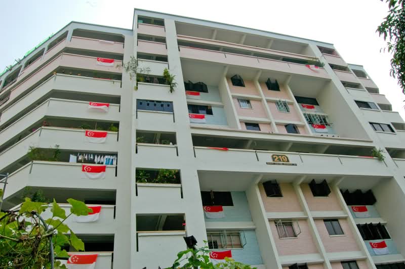 219 Bukit Batok Street 21