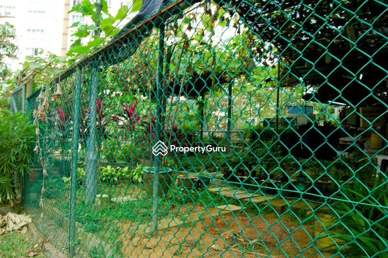 For Rent - 219 Bukit Batok Street 21