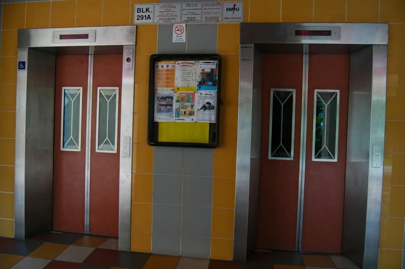 291A Bukit Batok Street 24