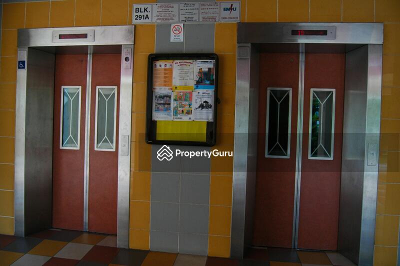 For Rent - 291A Bukit Batok Street 24