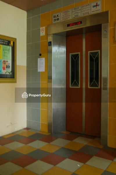 For Rent - 291B Bukit Batok Street 24