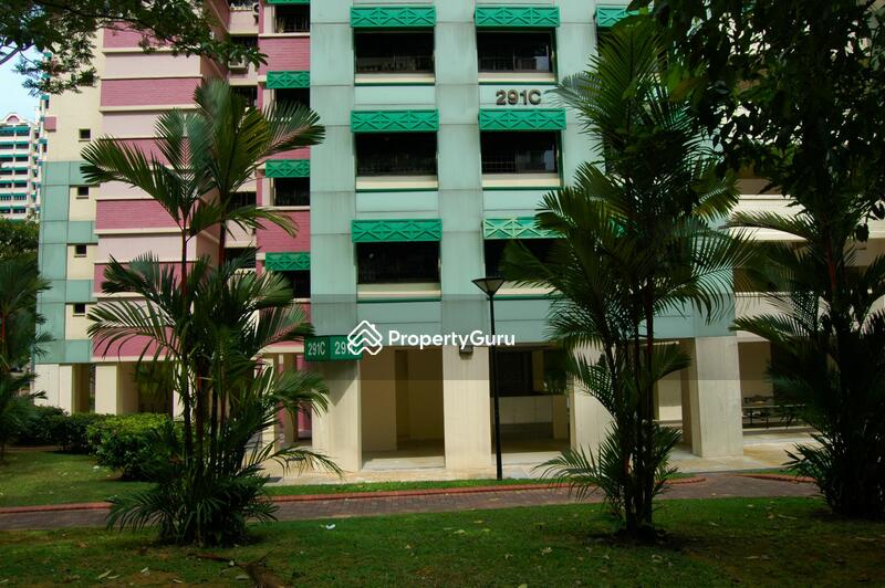 For Rent - 291C Bukit Batok Street 24