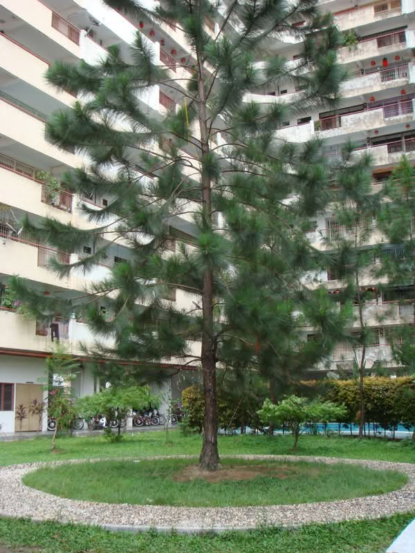 Eastern Court - iProperty.com.my