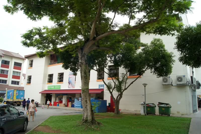 373 Bukit Batok Street 31 #0