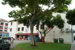 373 Bukit Batok Street 31 #0