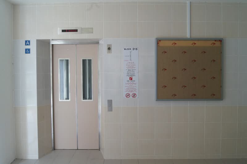 315 Bukit Batok Street 32