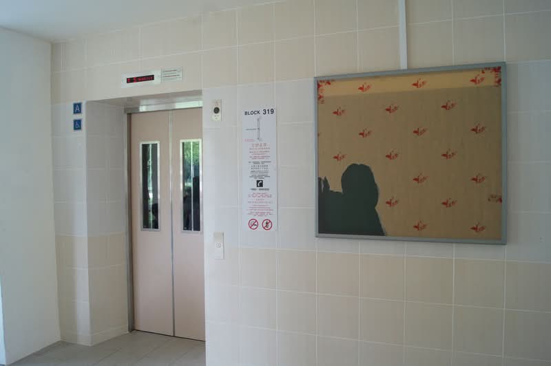 319 Bukit Batok Street 33