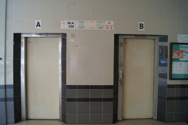 339 Bukit Batok Street 34