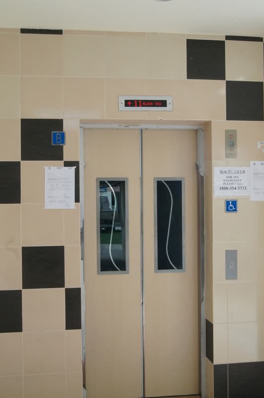 533 Bukit Batok Street 51