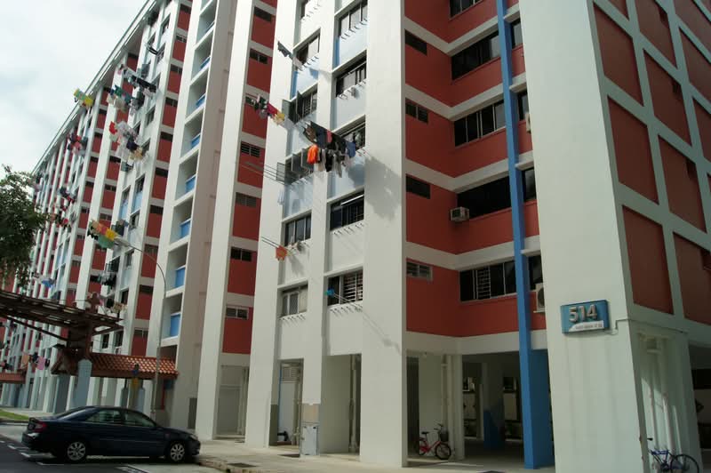 514 Bukit Batok Street 52