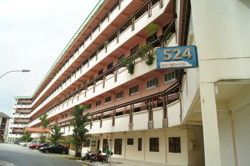 524 Bukit Batok Street 52