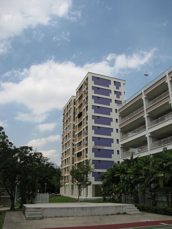 234 Bukit Panjang Ring Road