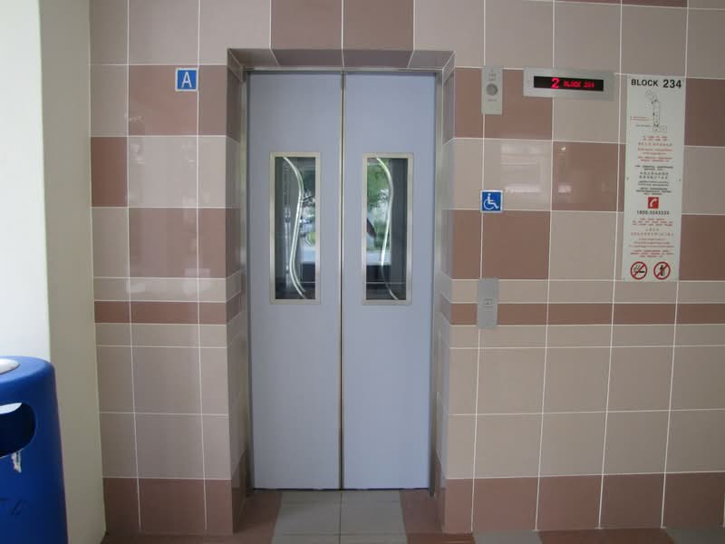 234 Bukit Panjang Ring Road