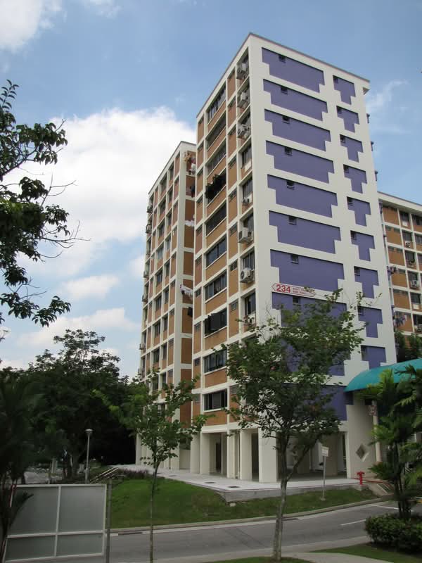 234 Bukit Panjang Ring Road