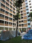 235 Bukit Panjang Ring Road #0