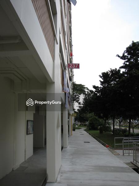 For Rent - 237 Bukit Panjang Ring Road