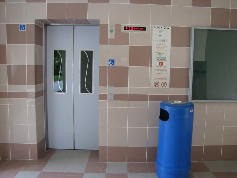 237 Bukit Panjang Ring Road