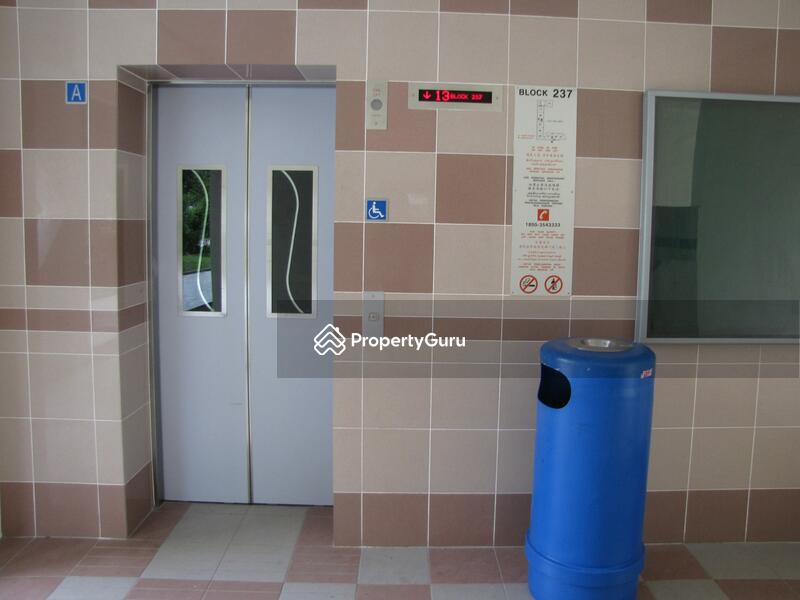For Rent - 237 Bukit Panjang Ring Road