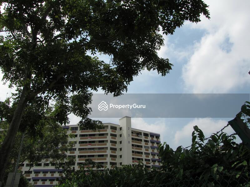 238 Bukit Panjang Ring Road #0