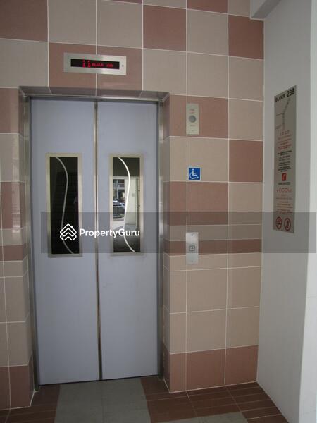 For Rent - 238 Bukit Panjang Ring Road