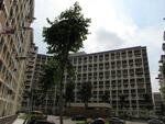 239 Bukit Panjang Ring Road #0