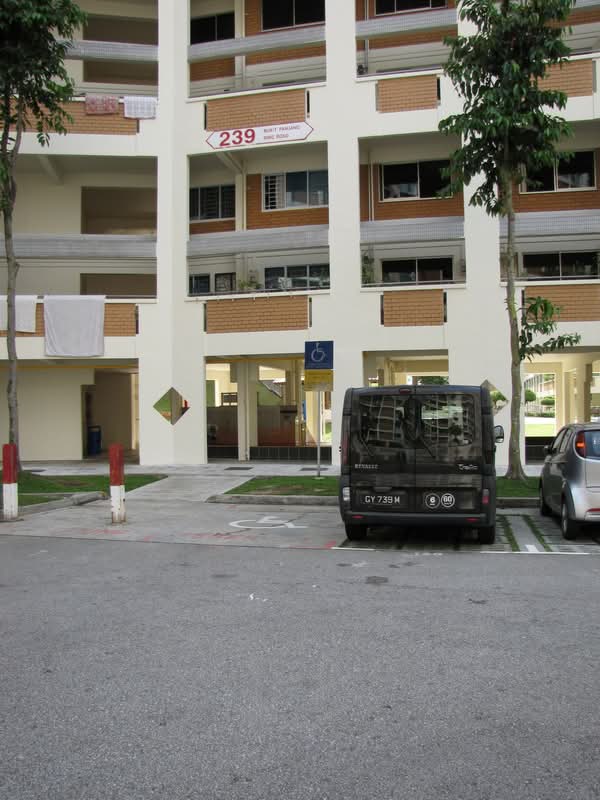 239 Bukit Panjang Ring Road
