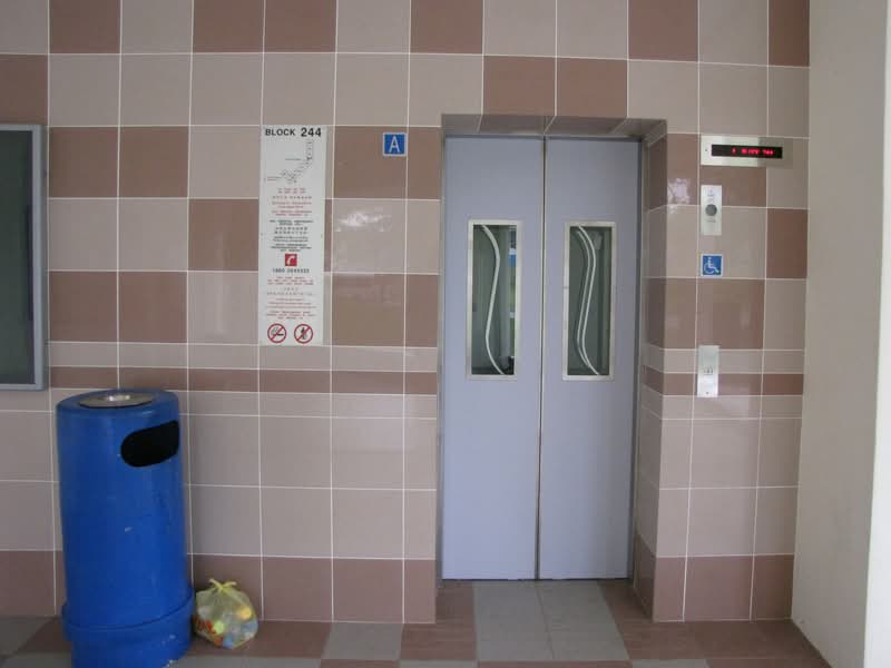 244 Bukit Panjang Ring Road