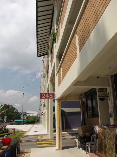 245 Bukit Panjang Ring Road, 245 Bukit Panjang Ring Road, Dairy Farm / Bukit Panjang / Choa Chu Kang, 3 Bedrooms, 1,302 sqft, HDB Flat For Rent, by Jenny Tan, 24792685 - PropertyGuru.com.sg