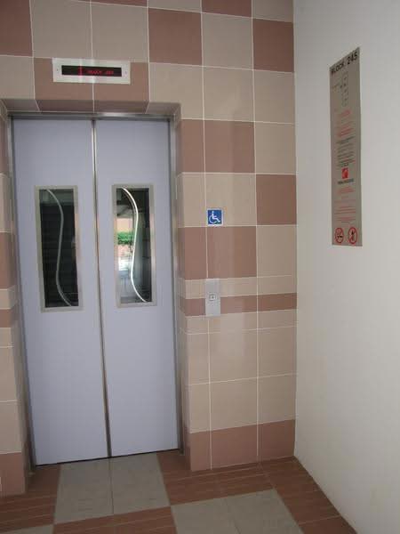 245 Bukit Panjang Ring Road, 245 Bukit Panjang Ring Road, Dairy Farm / Bukit Panjang / Choa Chu Kang, 3 Bedrooms, 1,302 sqft, HDB Flat For Rent, by Jenny Tan, 24792685 - PropertyGuru.com.sg
