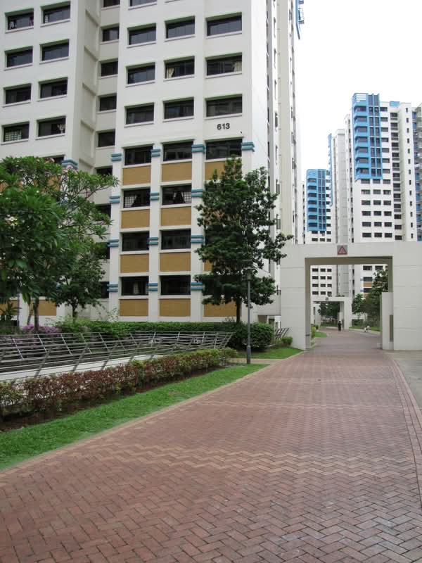 613 Bukit Panjang Ring Road