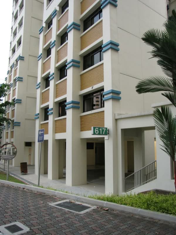 617 Bukit Panjang Ring Road